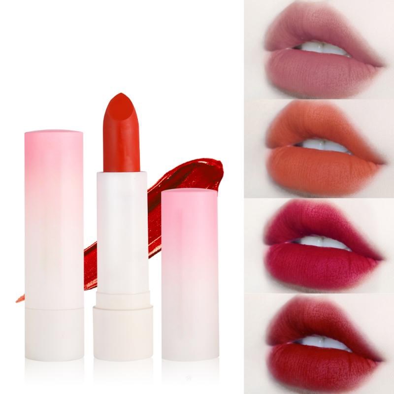 Multi colors Lipstick Long lasting Waterproof Professional Matte Lip Stick Matte Velvet Lipstick Cosmetics TSLM1